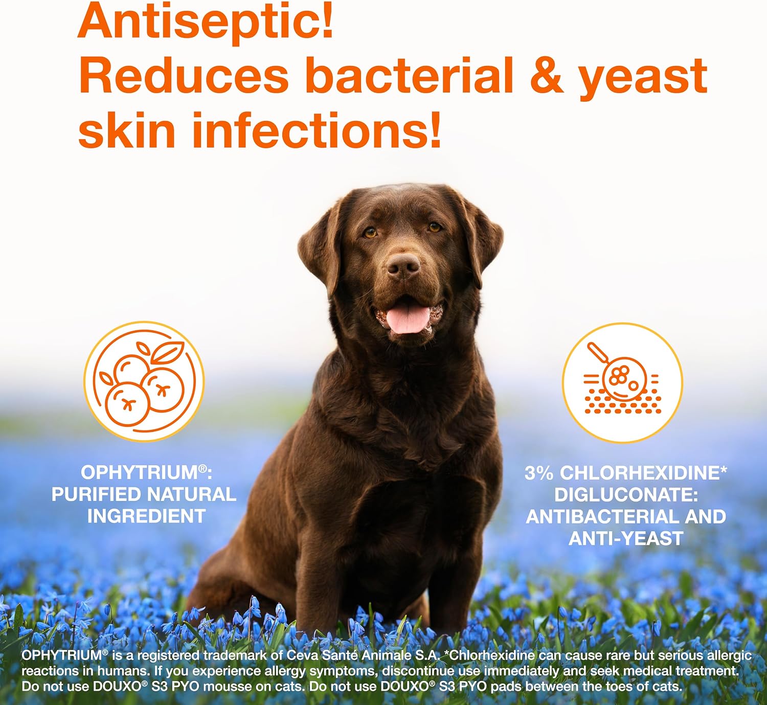 Douxo S3 PYO Medicated Dog Mousse - Bacterial & Yeast Infection Treatment