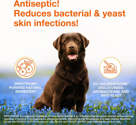Douxo S3 PYO Medicated Dog Mousse - Bacterial & Yeast Infection Treatment