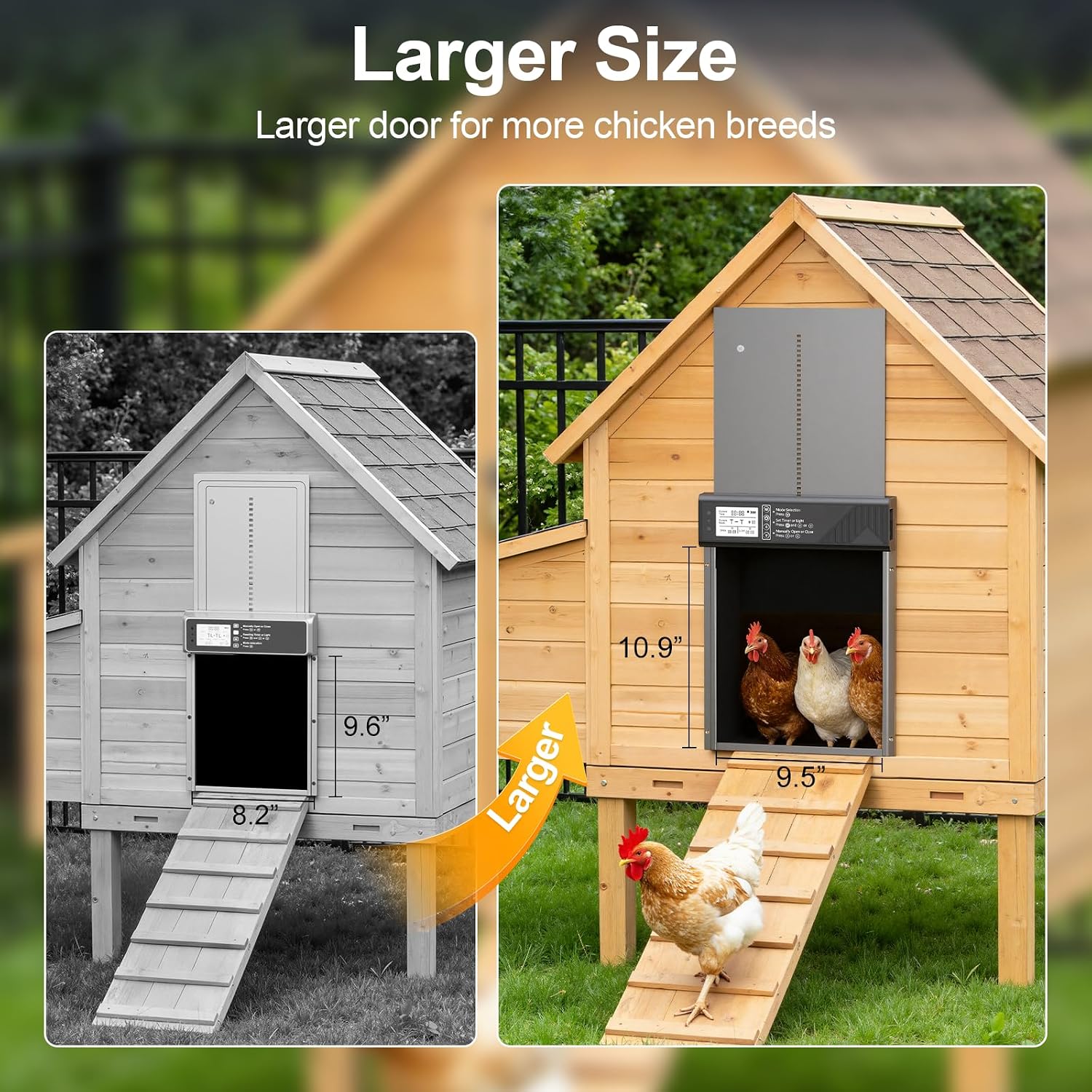 Large Automatic Chicken Coop Door Solar Powered with Timer & Light Sensor