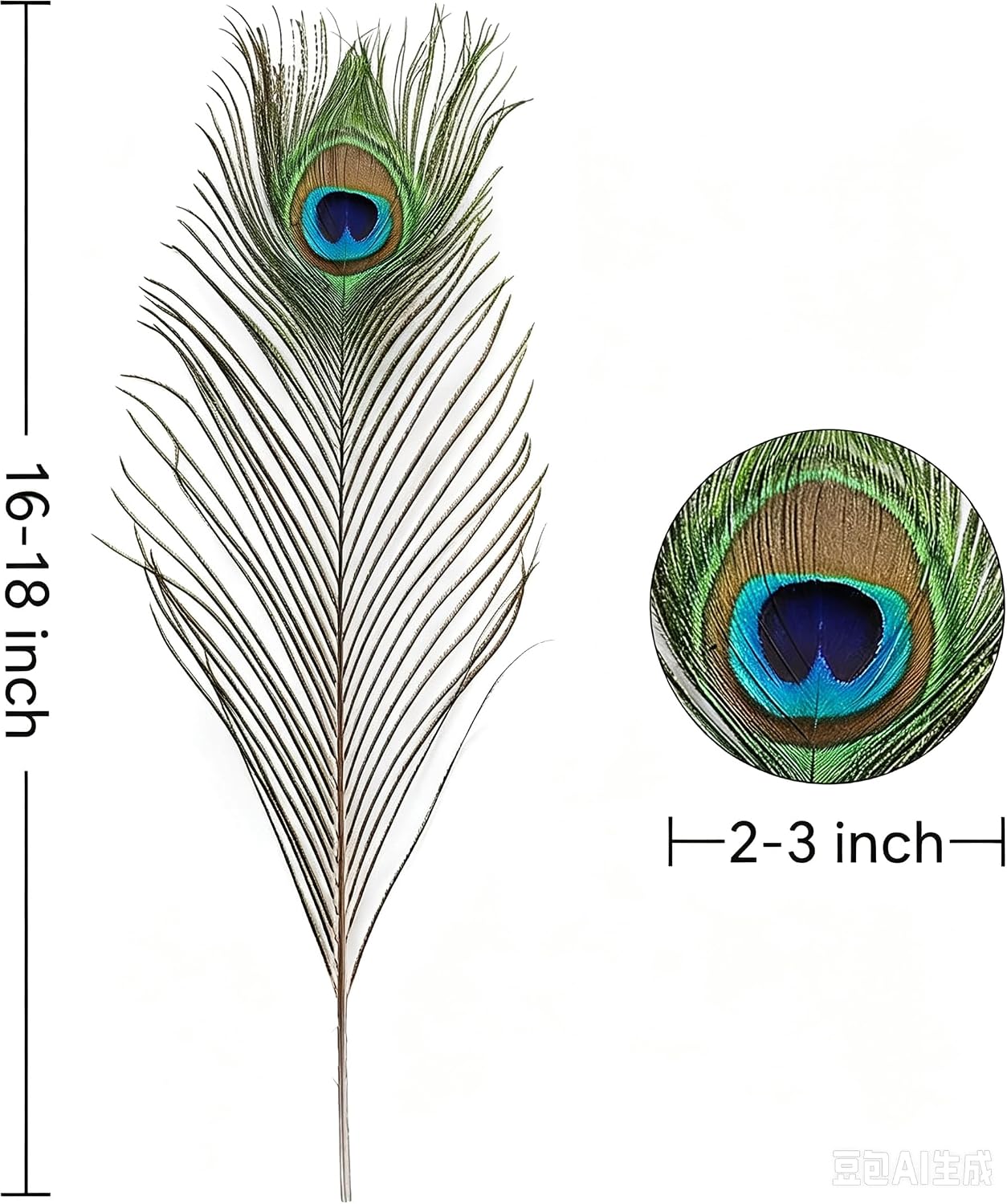 Ballinger Natural Craft Peacock Feathers Bulk,24Pcs,16-18inch