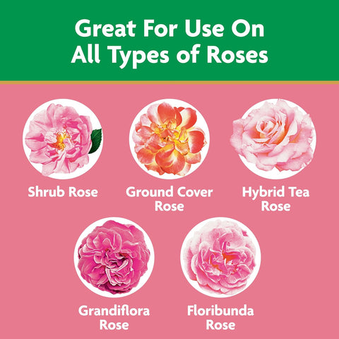 Miracle-GRO Water Soluble Rose Plant Food, 1.5 lb