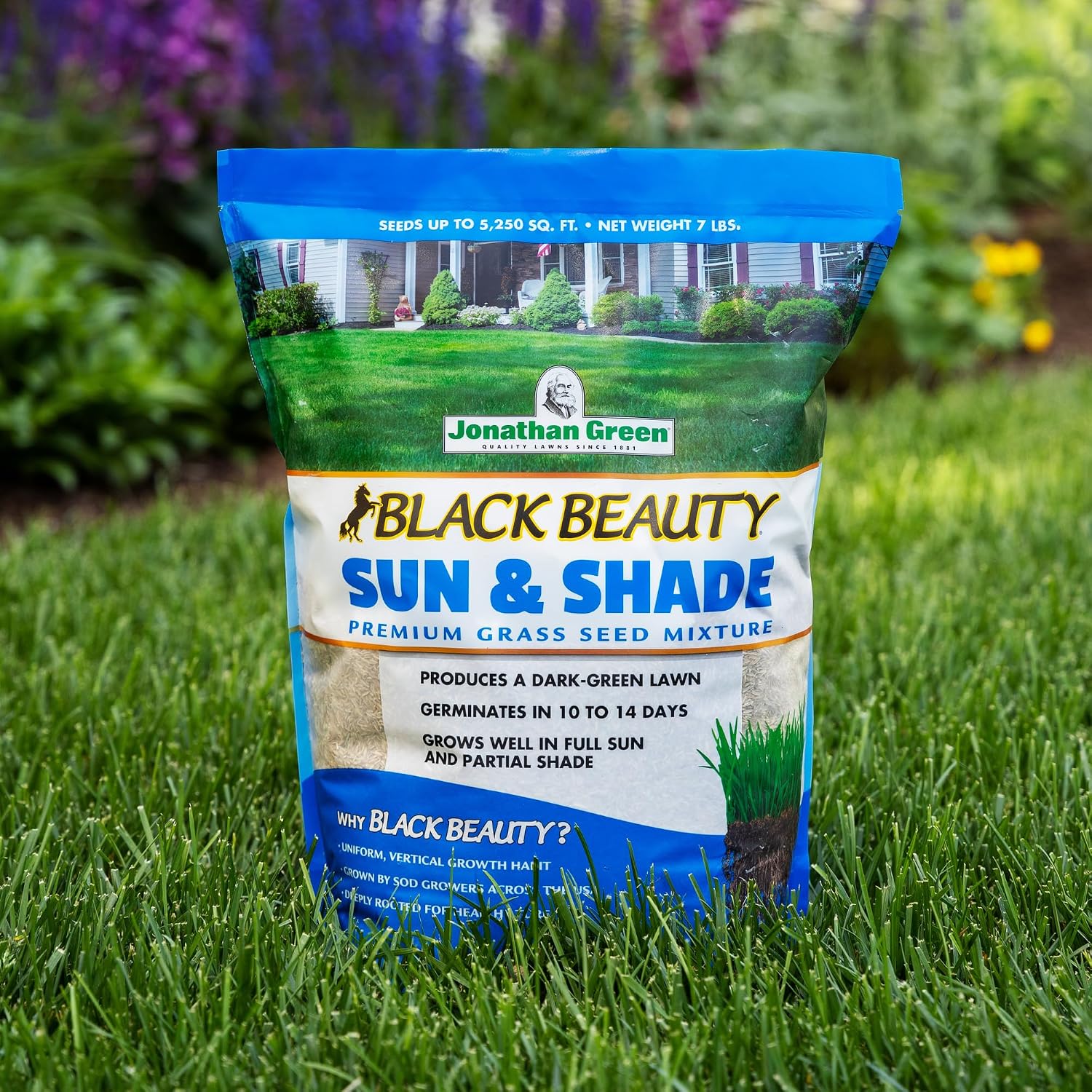 Jonathan Green Black Beauty Sun & Shade Grass Seed - 25 lb