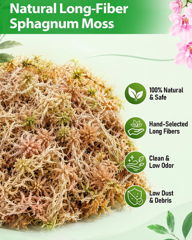 Riare 10OZ Premium Sphagnum Moss for Plants- Natural Long Fiber Plant Moss