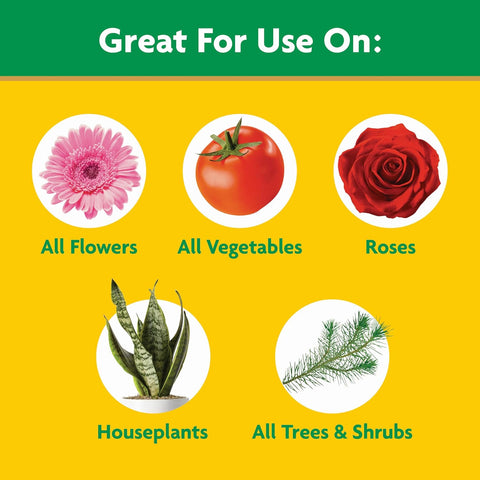 Miracle-Gro Water Soluble All Purpose Plant Food, 1.5 lb.