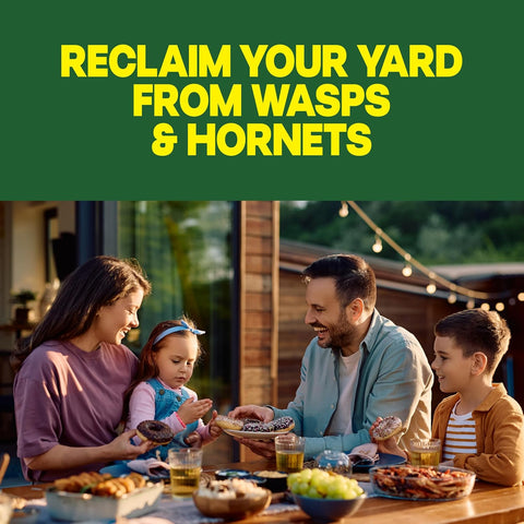 Raid Wasp & Hornet Killer Bug Spray, Kills Entire Nest, 14 oz, 2 Count