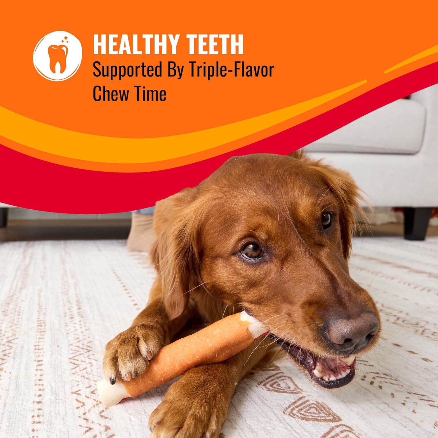 Good 'n' Fun Ribs Long-Lasting Dog Treat Made With Real Protein, 12 oz