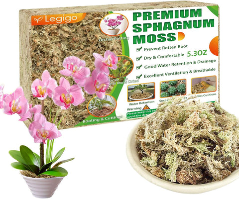 Legigo 5.3OZ Sphagnum Moss for Plants - 6QT Natural Long Fibers Orchid Moss