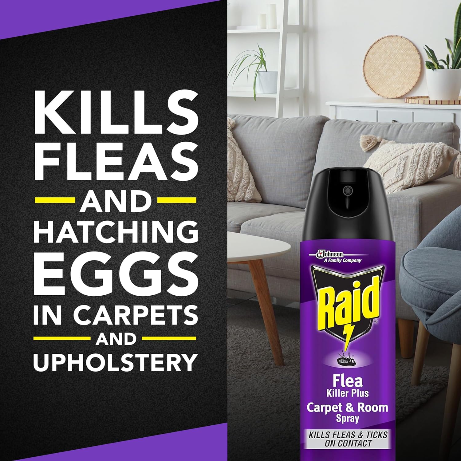 Raid Flea Killer Carpet & Room Spray, Kills Fleas, Ticks, and Eggs, 16 oz