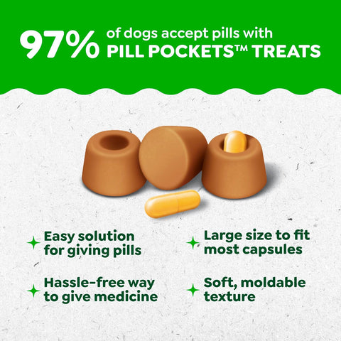 Greenies Pill Pockets Large Size Dog Treats, Peanut Butter, 15.8 oz