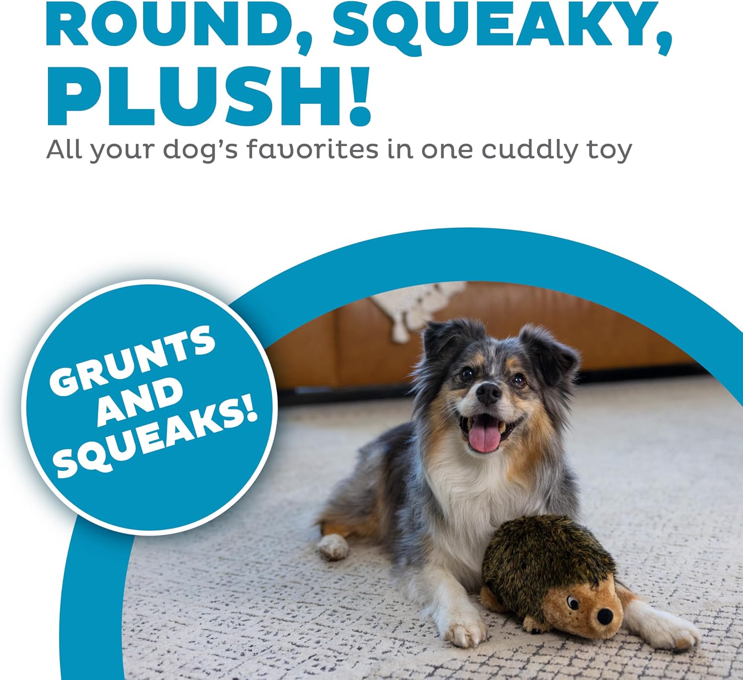Outward Hound Hedgehogz Plush Dog Toy, Squeaks & Grunts, Medium, 9" x 6.5"