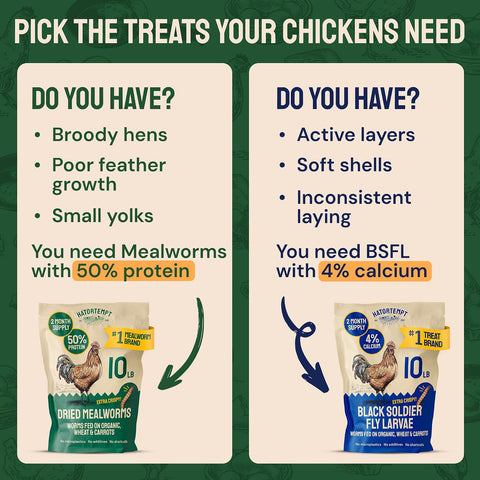 Hatortempt 10lb Dried Mealworms for Chickens & Wild Birds, Chicken Feed