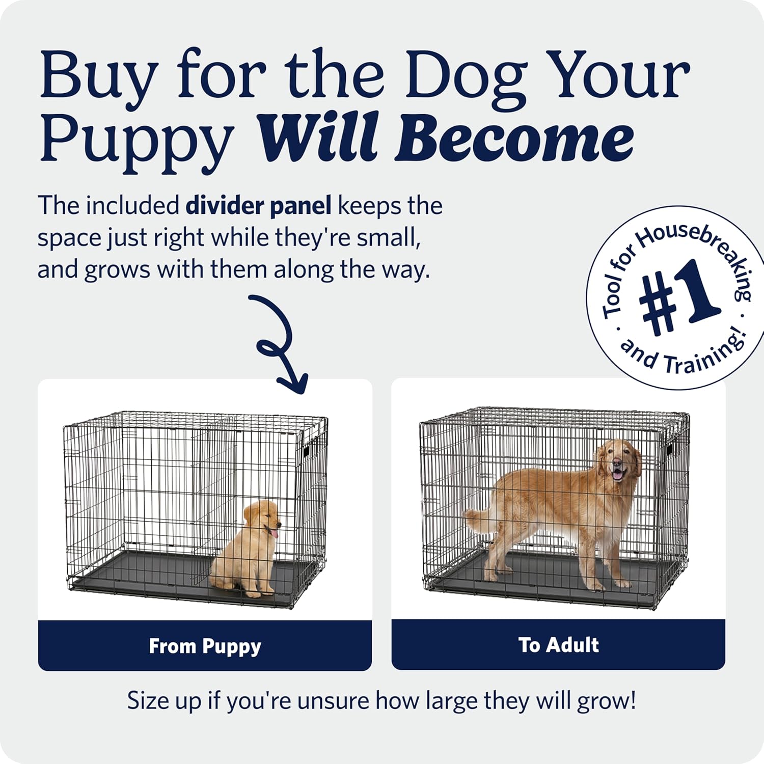 Midwest 42-Inch Single Door iCrate, for Large Breeds, 71-90 lbs