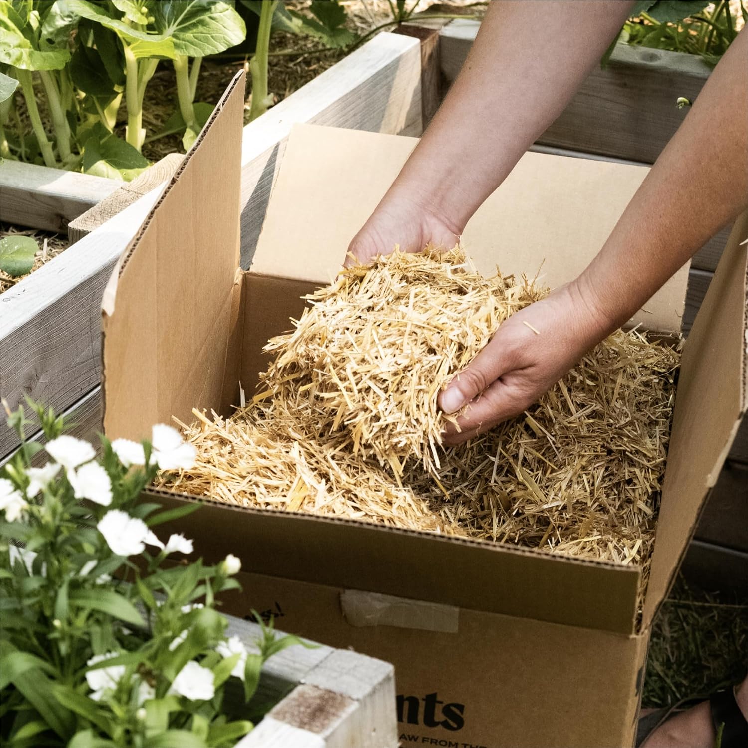 HealthiStraw GardenStraw Mulch Box, 2 cu ft (10 lb) – All-Natural, Sustainable Wheat Straw for Gardens, Lawn Seeding – Water-Conserving – Cleaned, Zero Plastic Package