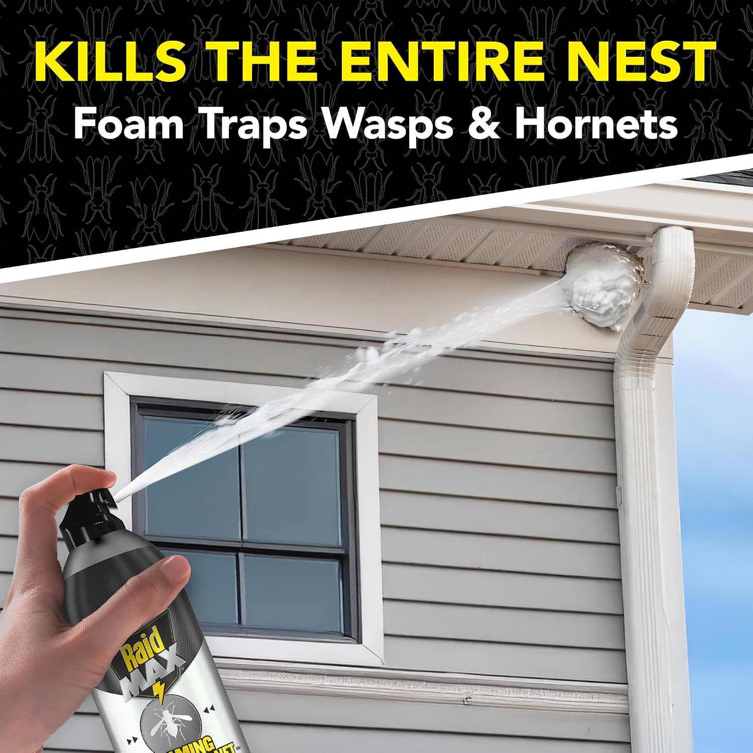 Raid MAX Foaming Wasp & Hornet Killer Bug Spray, 16.5 oz