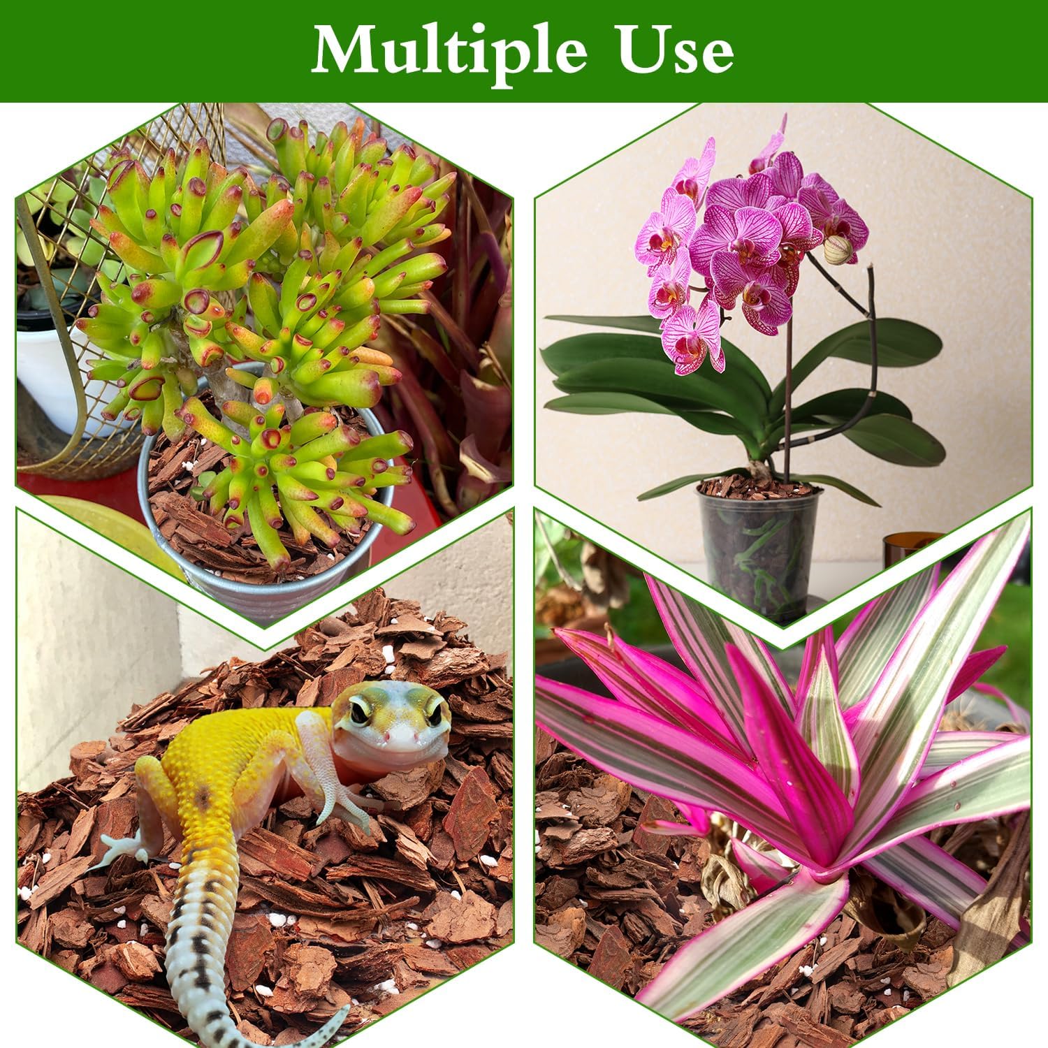 Orchid Bark Potting Mix,Premium Orchid Potting Mixture of Pine Bark,Perlite