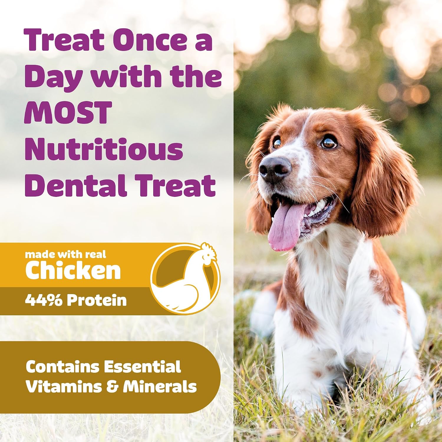 Yummy Combs Dog Dental Treats – Vet VOHC Approved – Delicious Chicken Protein – Removes Tartar with Cleaning Comb Shape – Dental Dog Treats for Small Dogs (24oz, 42 Count)