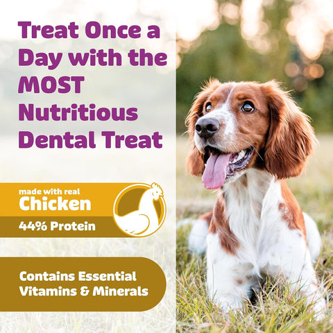 Yummy Combs Dog Dental Treats – Vet VOHC Approved – Delicious Chicken Protein – Removes Tartar with Cleaning Comb Shape – Dental Dog Treats for Small Dogs (24oz, 42 Count)