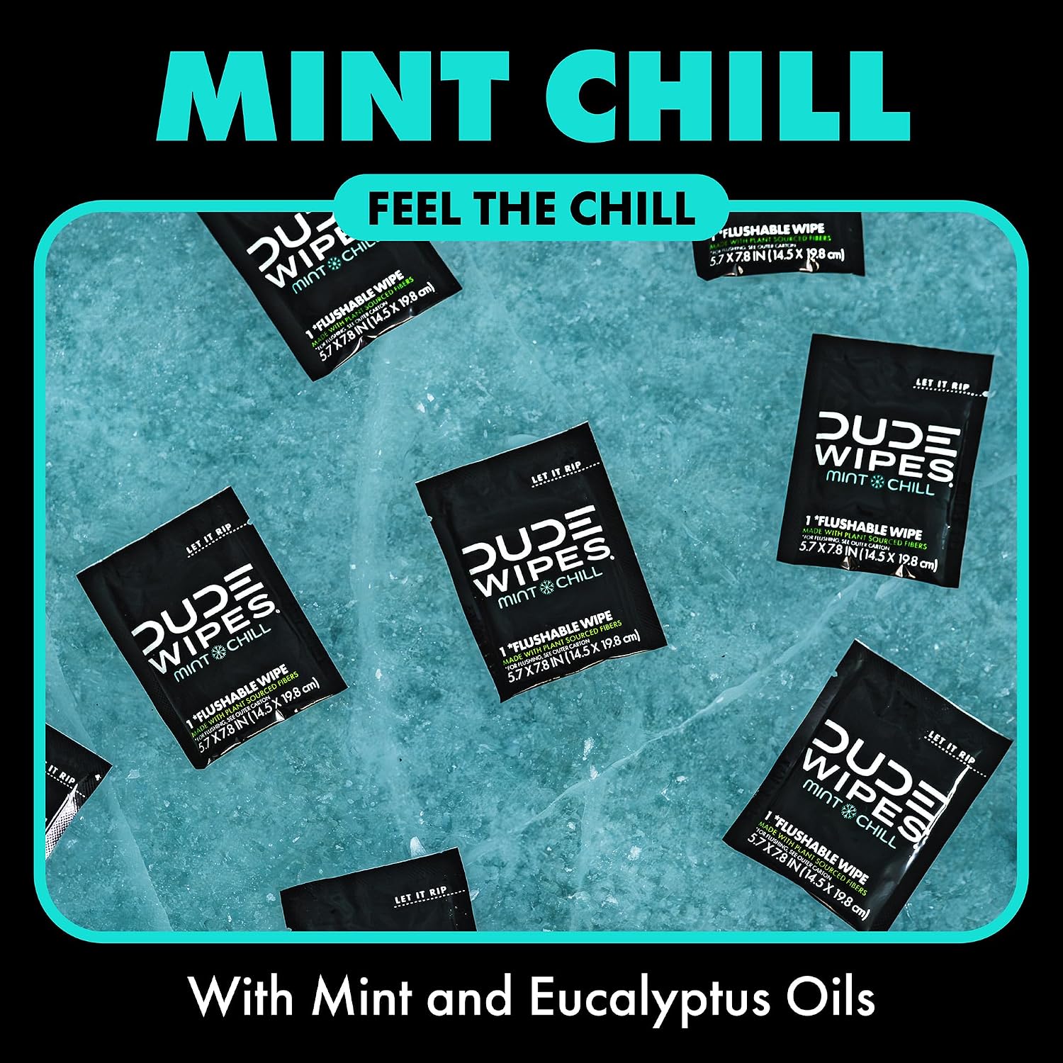 DUDE Wipes On-The-Go Mint Chill Adult Flushable Travel Wipes, 30 Count
