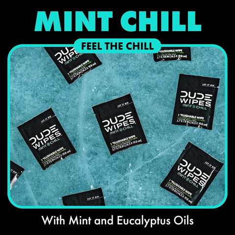 DUDE Wipes On-The-Go Mint Chill Adult Flushable Travel Wipes, 30 Count
