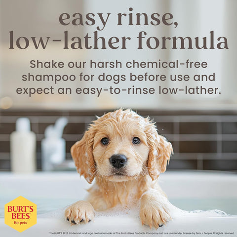 Burts Bees Tearless Puppy Shampoo & Conditioner with Buttermilk, 16 Fl Oz