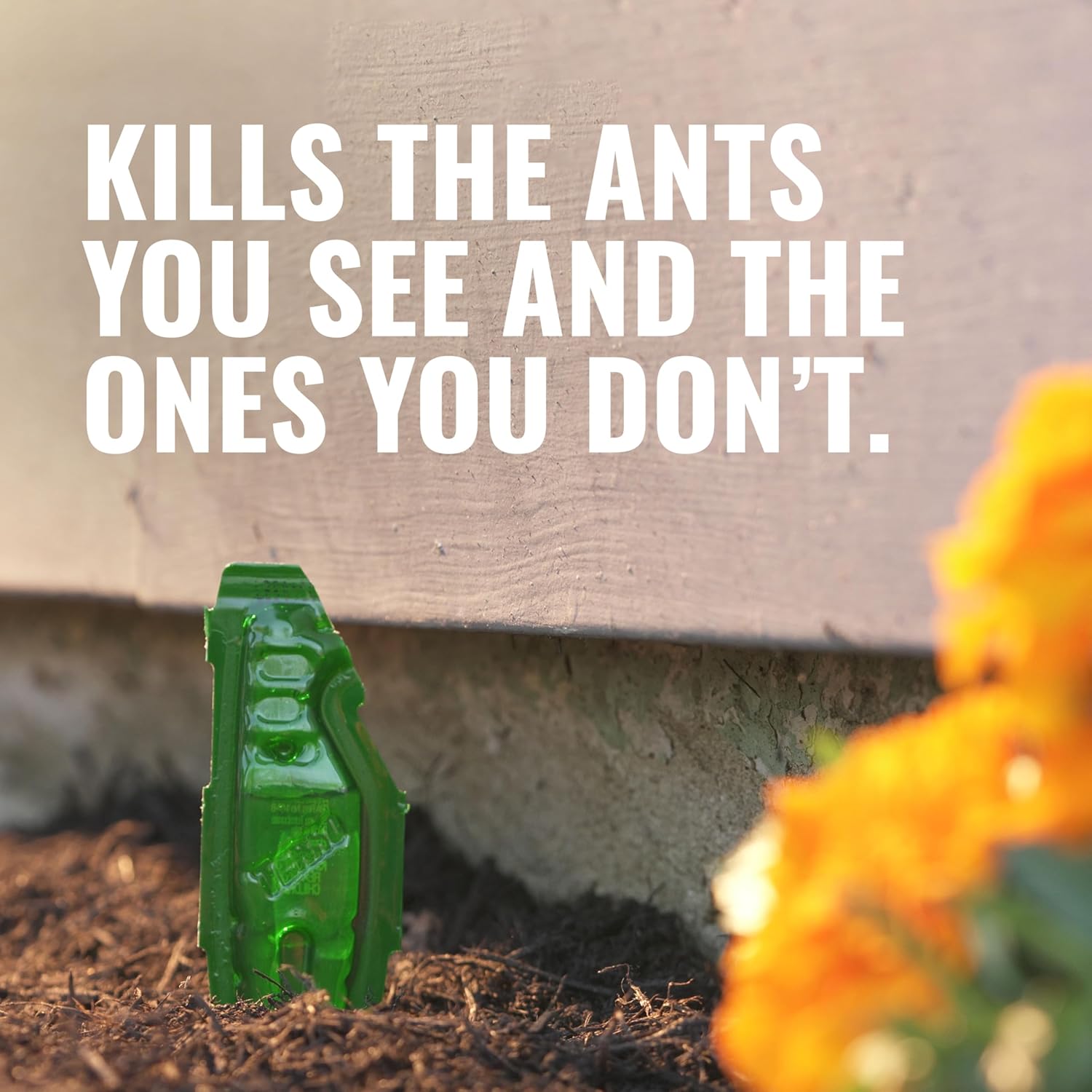 TERRO Outdoor Liquid Ant Bait Stakes, 12-Pack, Ready-to-Use Ant Killer Trap