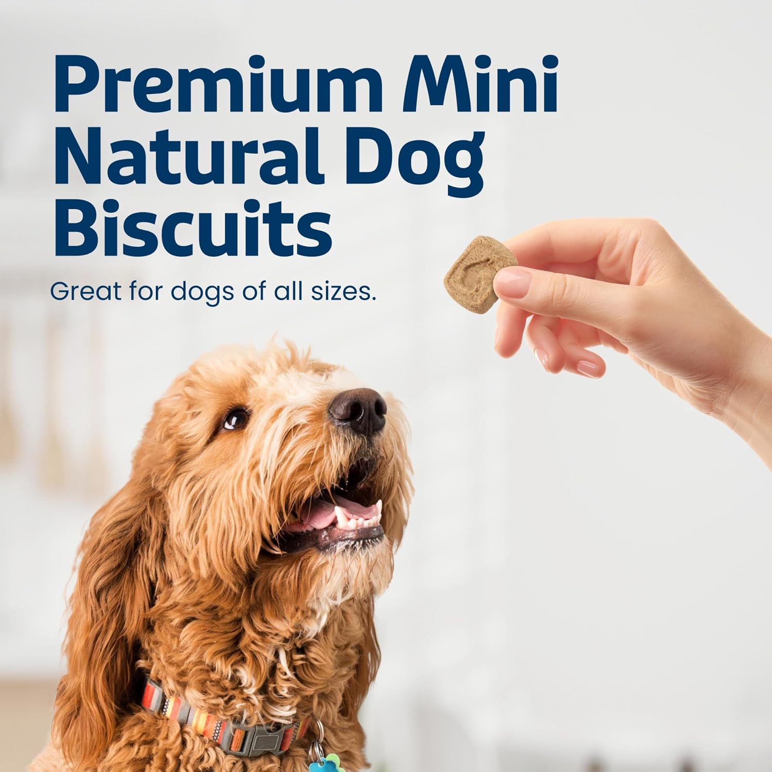 Blue Buffalo Health Bars Apples & Yogurt Mini Dog Biscuits, 16 oz