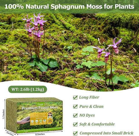 Legigo 2.6LB Sphagnum Moss for Plants, 60QT Natural Long Fiber Orchid Moss