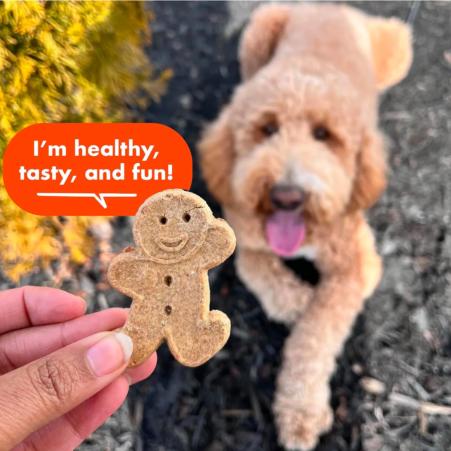 Buddy Biscuits Crunchy Dog Treats, Peanut Butter, 3.5 lbs. Bag