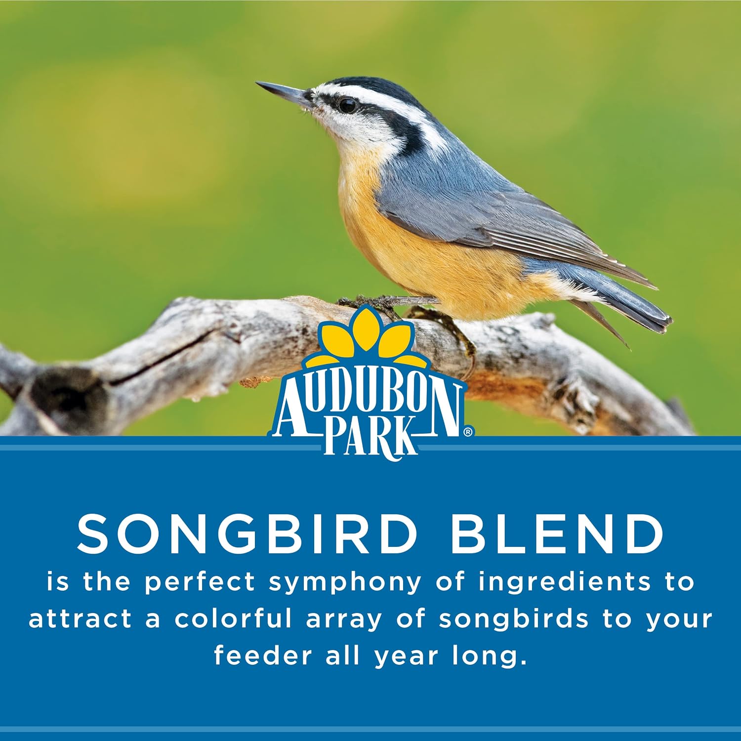 Audubon Park Songbird Wild Bird Seed, 14 lb.