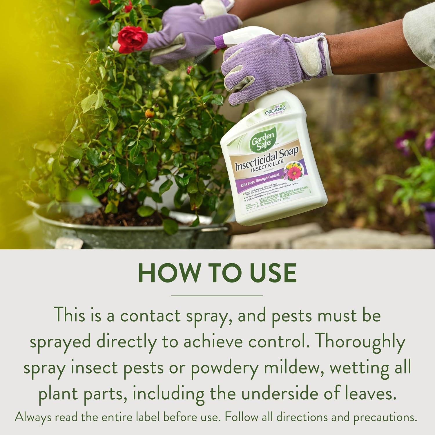 Garden Safe Insecticidal Soap Insect Killer Spray, 32 Oz