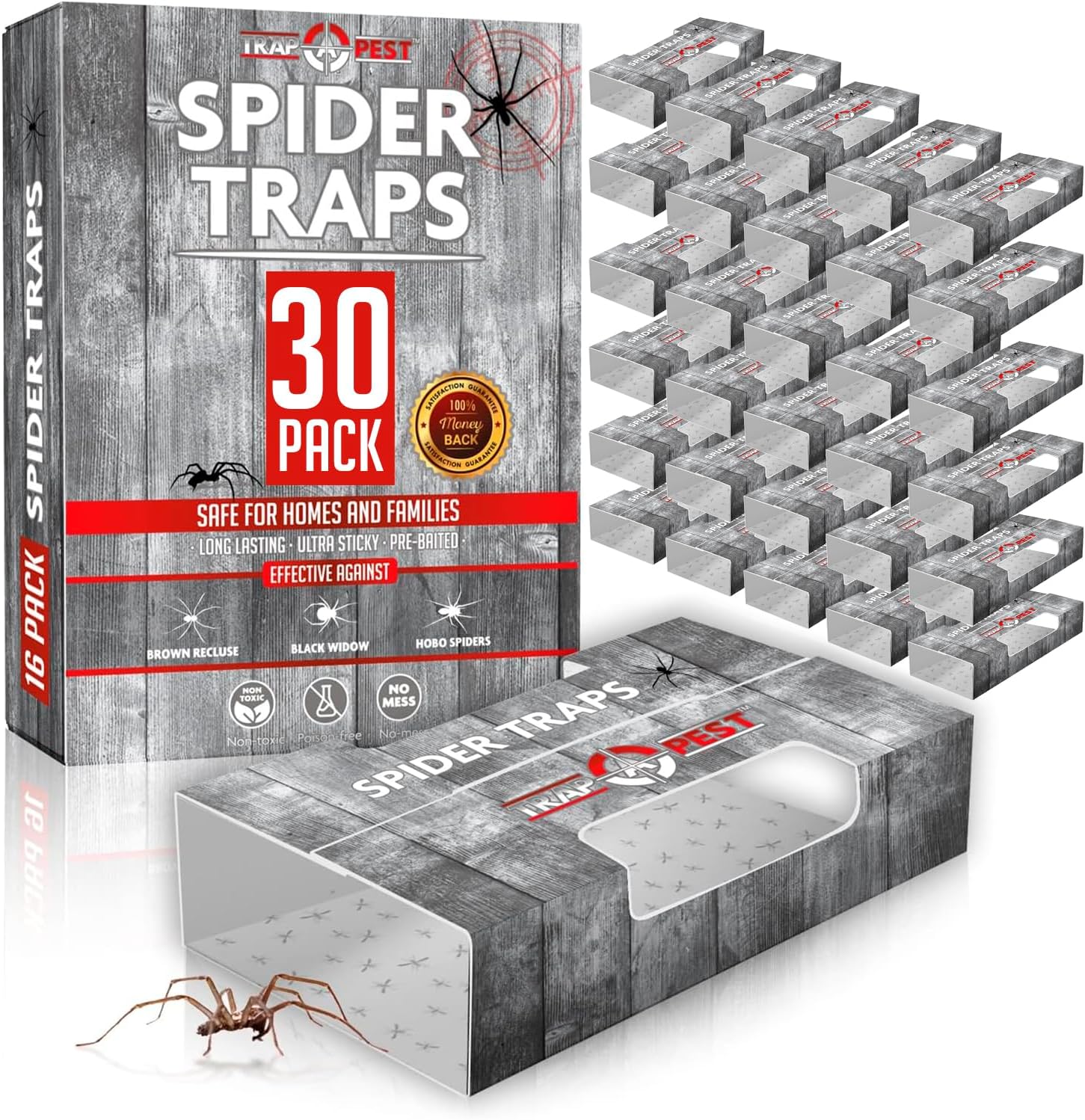 Trap a Pest Indoor Sticky Spider Traps - Glue Traps - 30 Pack