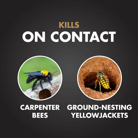 Spectracide Carpenter Bee & Gound-Nesting Yellowjacket Killer, 16 Oz