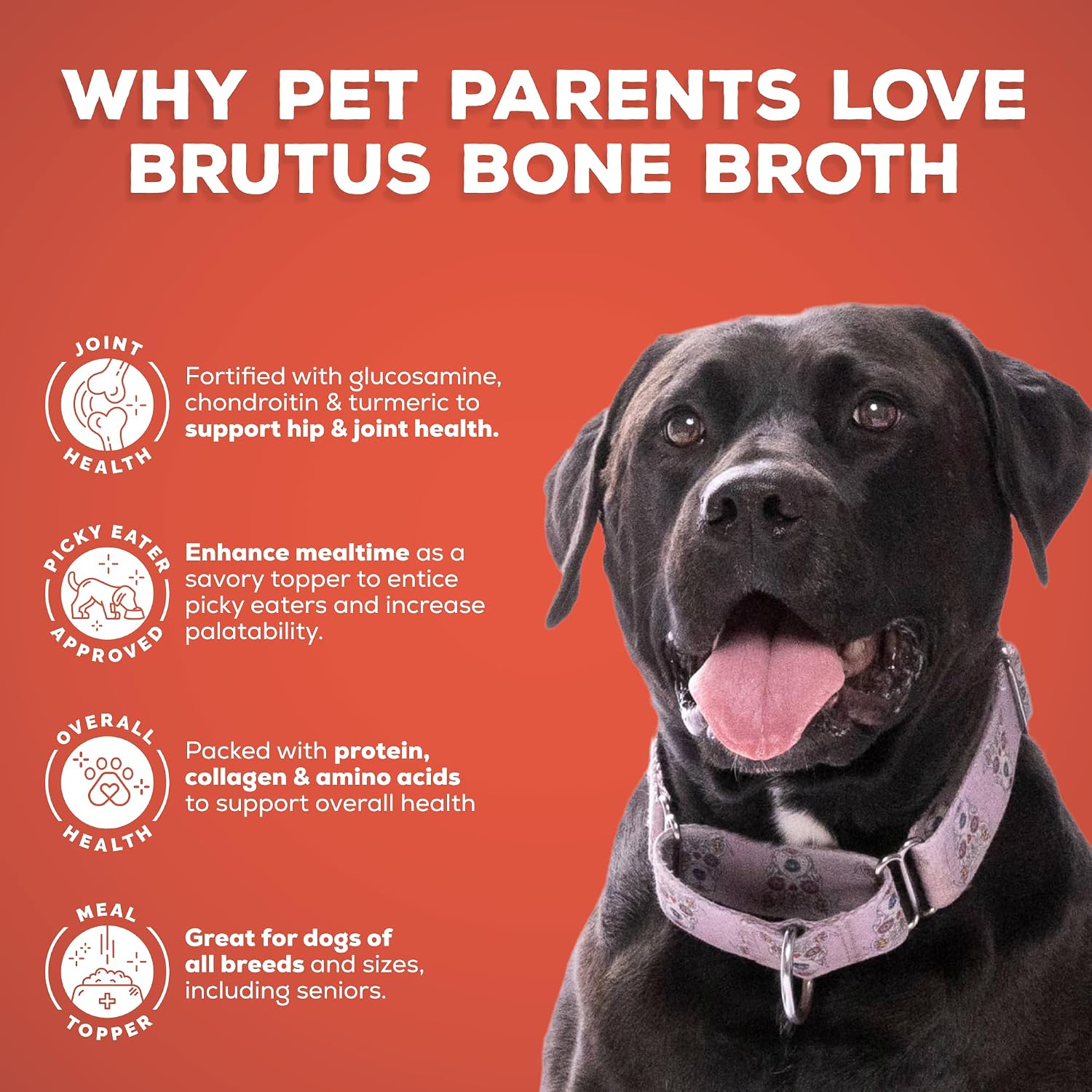 Brutus Bone Broth Liquid for Dogs | All Natural | Made in USA | Glucosamine & Chondroitin for Healthy Joints | Human Grade Ingredients | Hydrating Food Topper, Gravy & Treat (Pork, 2-Pack)