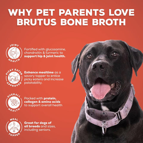 Brutus Bone Broth Liquid for Dogs | All Natural | Made in USA | Glucosamine & Chondroitin for Healthy Joints | Human Grade Ingredients | Hydrating Food Topper, Gravy & Treat (Pork, 2-Pack)