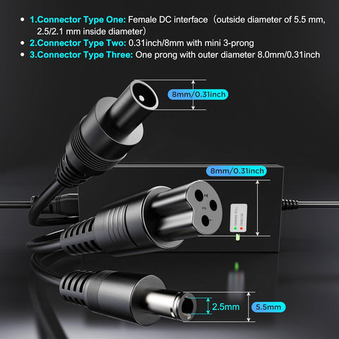 EVAPLUS 42V 2A Charger for 36V Lithium Battery, SGS Safe