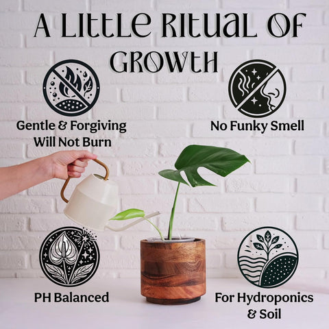 Organic Liquid Indoor Plant Food, Houseplant, Tropical & All-Purpose Indoor Plant Fertilizer, Organic Liquid Fertilizer 5-5-5 with Sea Kelp, 12oz Treats 75 Gallons