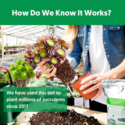 Succulent Cactus Potting Soil Mix (8 qt), All-Purpose Garden Potting Mix for Indoor Outdoor Plants, Quick Drain Houseplant Orchid Bonsai Perlite Soil, Ready-to-Use, Resealable Bag Design
