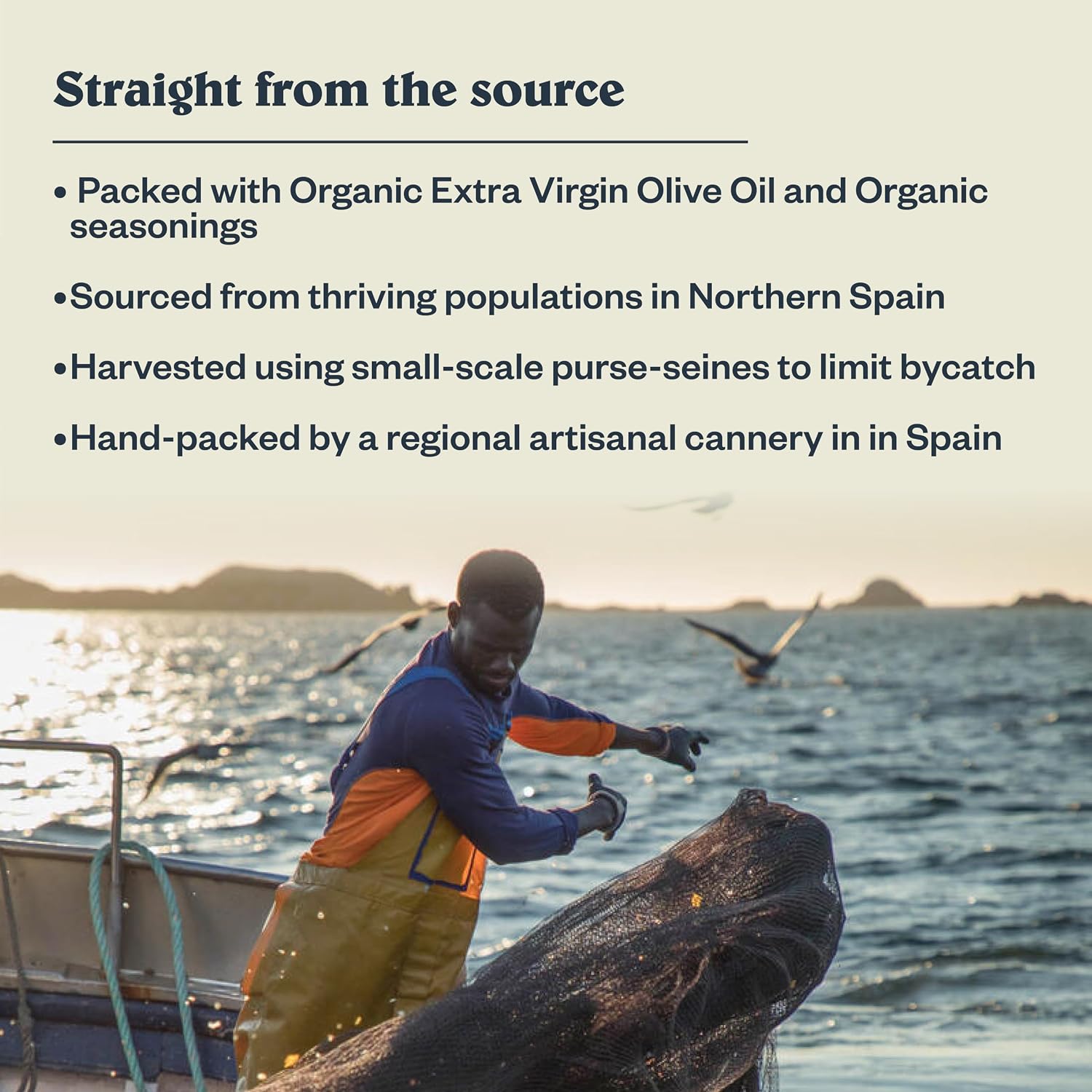 Patagonia Provisions Roasted Garlic White Anchovies | Responsibly Sourced in Spain | 21g Protein & Gluten Free | 4.2 Oz (Pack of 10)