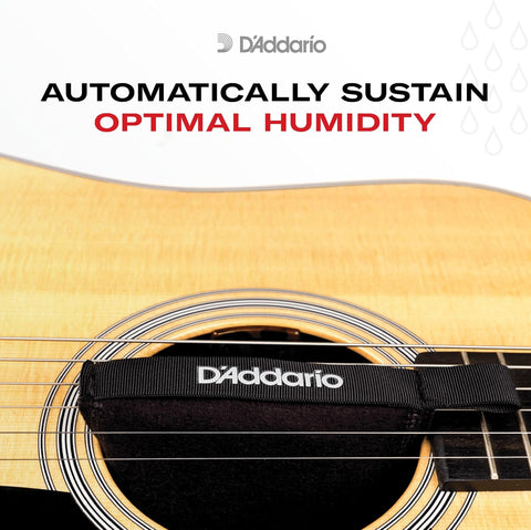 D'Addario Humidipak Guitar Restore Kit, Two-Way Case Humidity Control
