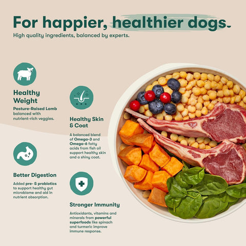 Jinx Grain Free Dry Dog Food - Real Lamb, Sweet Potato & Carrot, 4lb