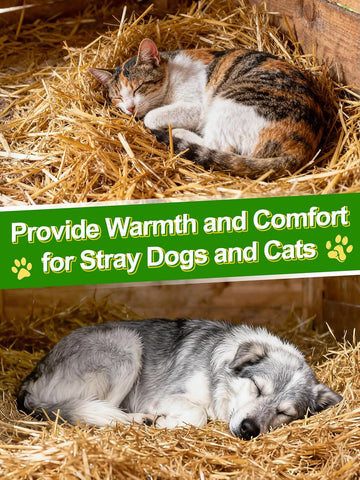 Acostop Natural Dry Wheat Straw for Garden Mulch Stray Cats Dogs Shelter