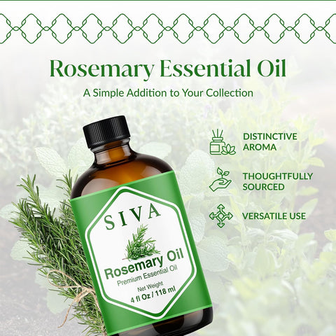 Siva Rosemary Essential Oil, Glass Bottle with Dropper, 4 Fl Oz (118 ml)
