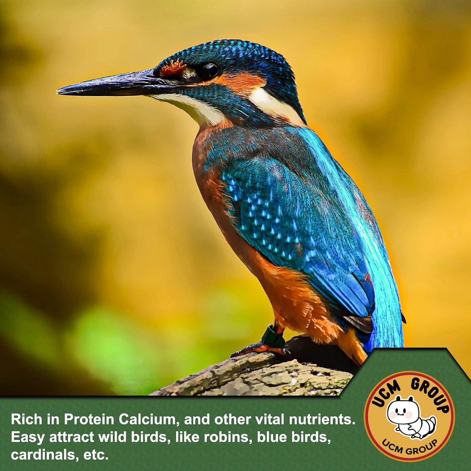 5LB Dried mealworms for Wild Birds, Chickens, High Protein Organic Chicken Feed, 100% Non-GMO for Chickens, Ducks, Turtles and Reptiles