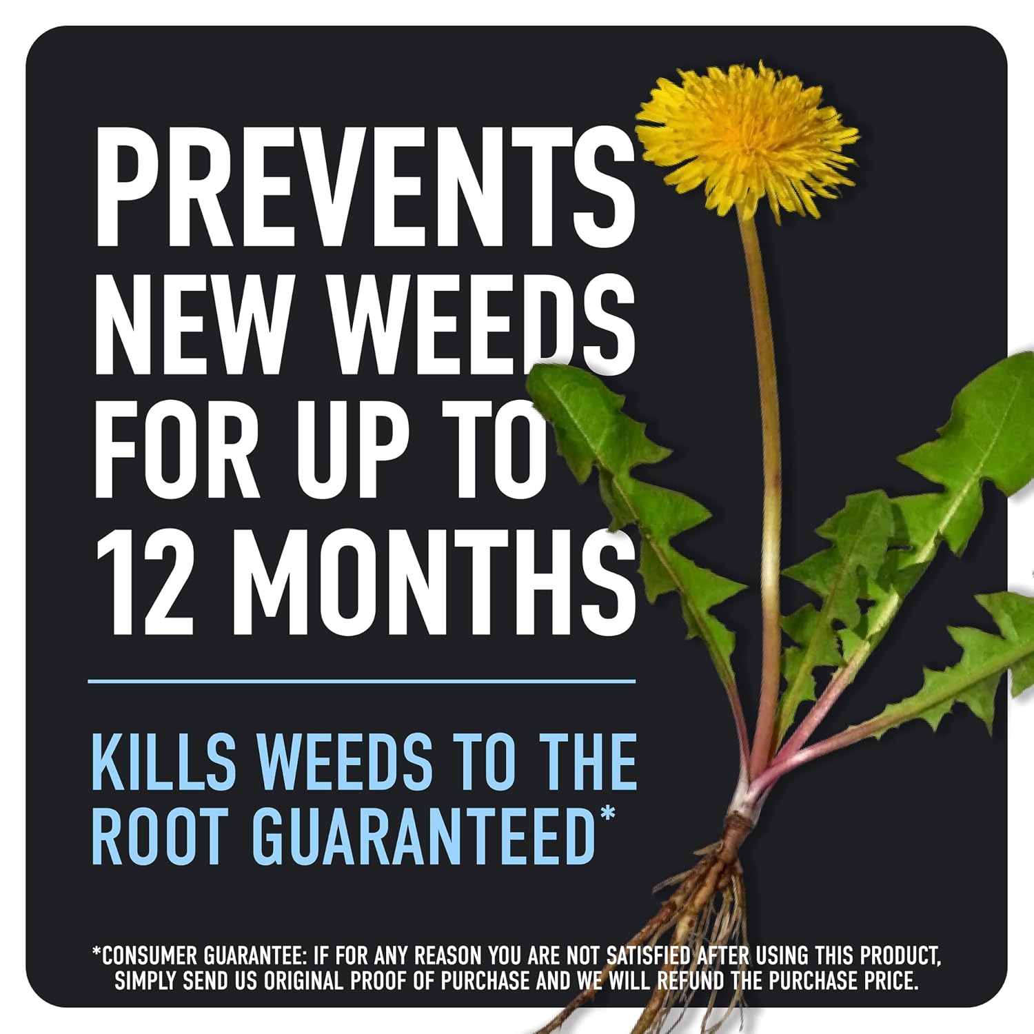 Roundup Dual Action 365 Weed & Grass Killer Plus 12 Month Preventer, 1 gal.