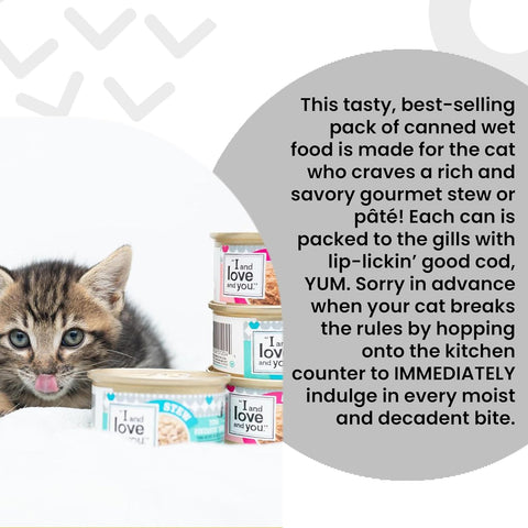 I and love and you Wet Cat Food - Savory Salmon Pâté - Salmon Recipe, Grain Free, Filler Free, 3oz Pack of 24 Cans