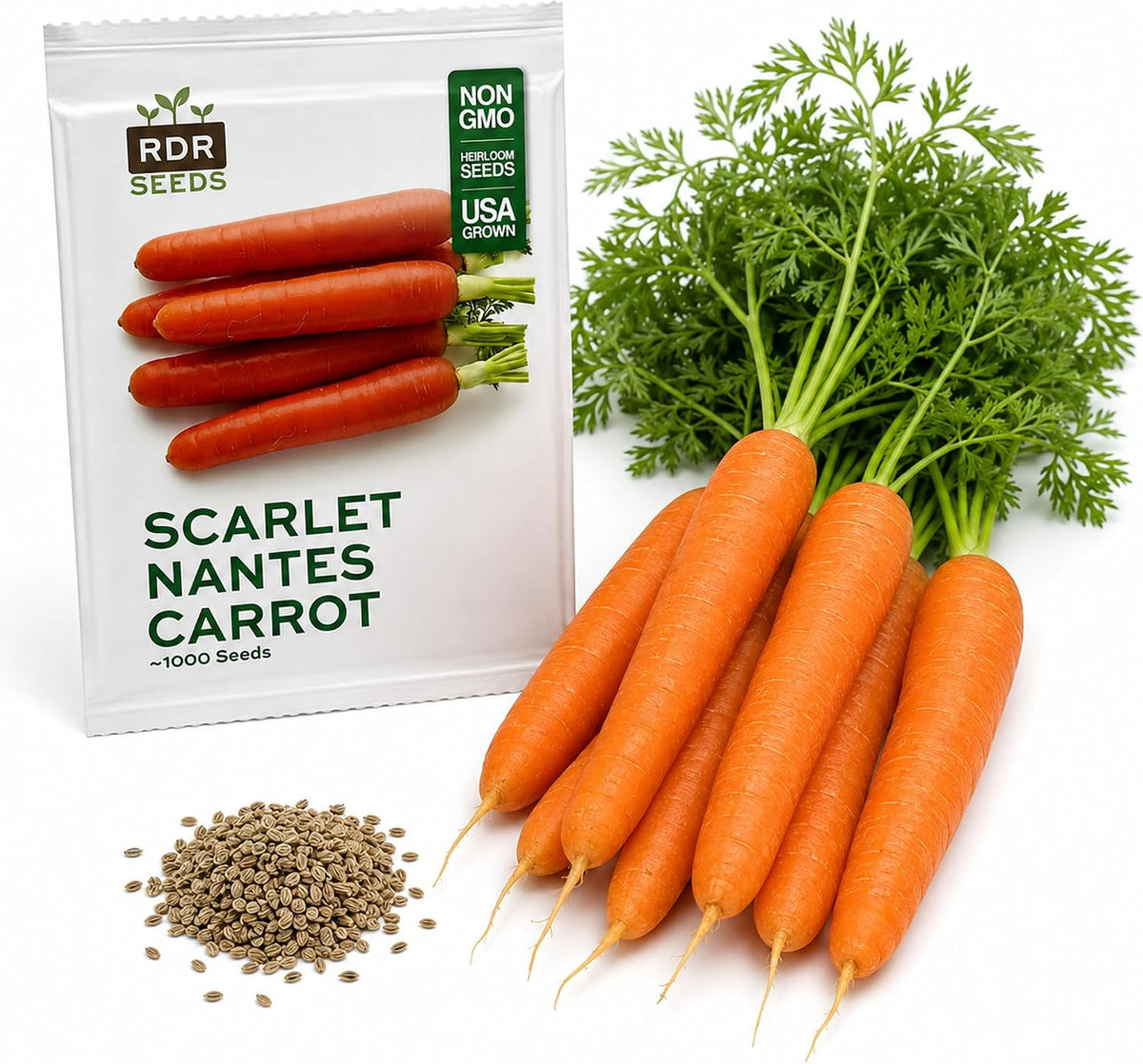 1000 Carrot Seeds for Planting - Heirloom, Scarlet Nantes