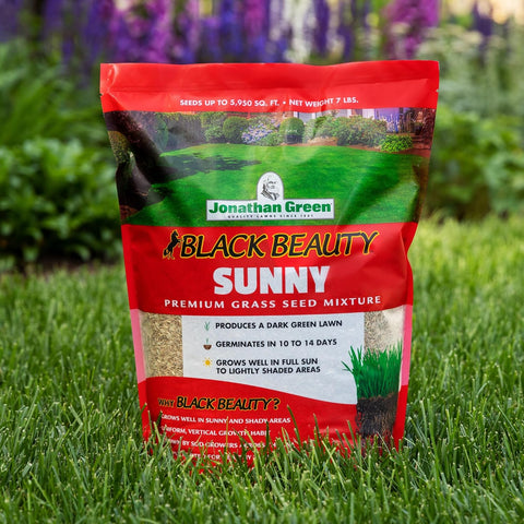 Jonathan Green Black Beauty Sunny Grass Seed - 25 lb
