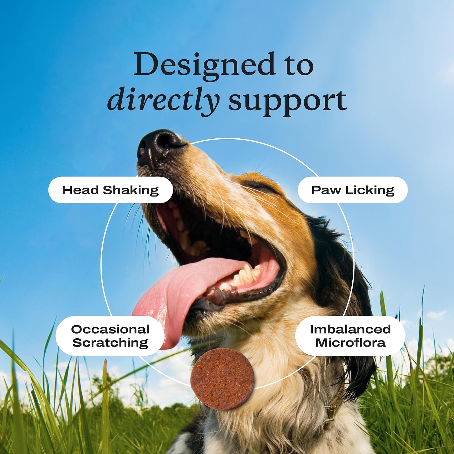 PetLab Co. Allergy & Immune Probiotic Chews, 3-Pack, Pork
