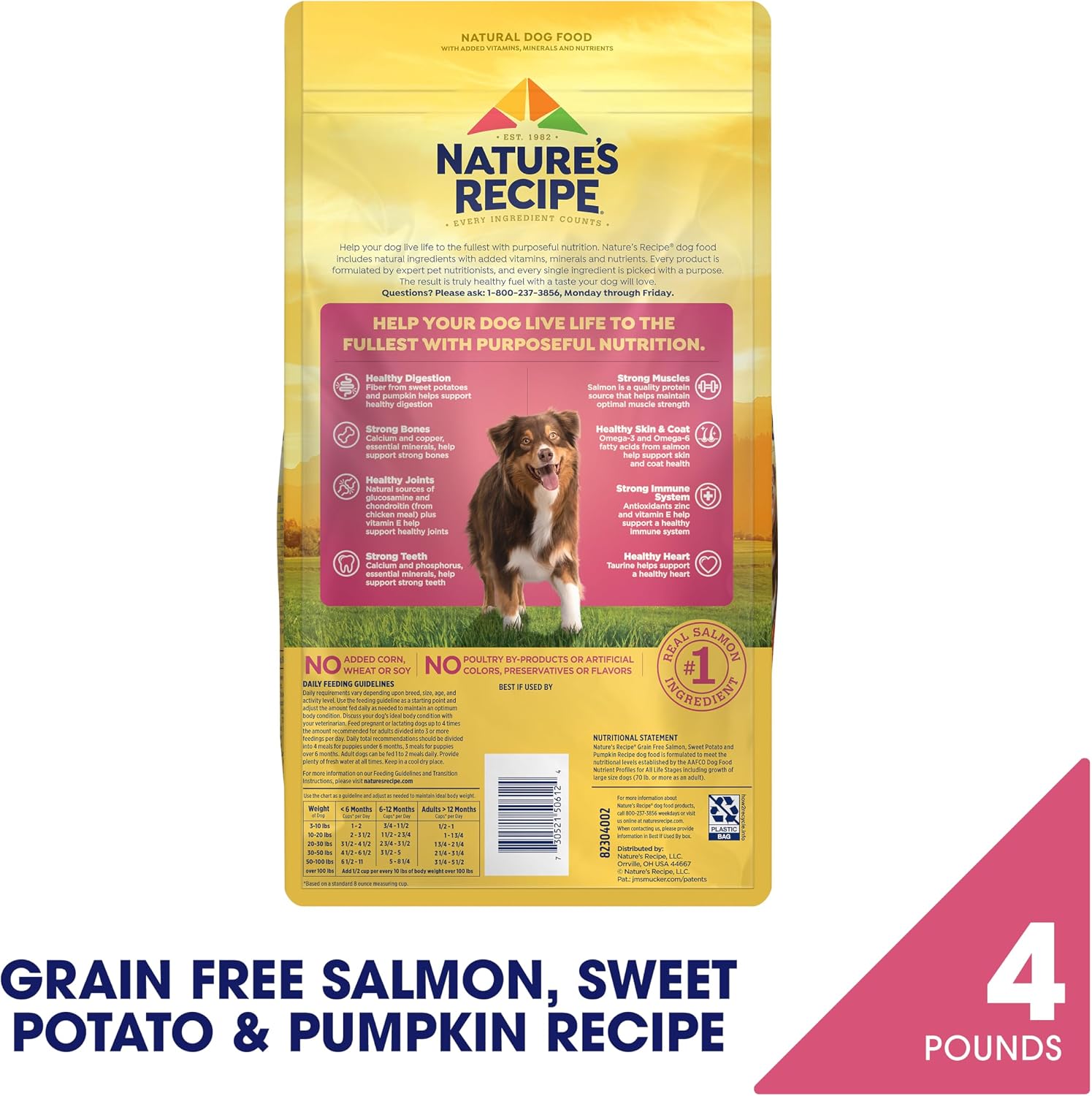 Nature's Recipe Grain Free Easy to Digest Salmon, Sweet Potato and Pumpkin Recipe Dry Dog Food, 4-Pound