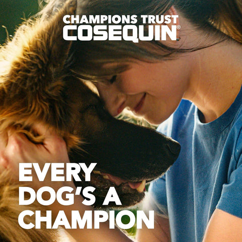 Nutramax Cosequin Joint Supplement for Dogs, Skin & Coat, Soft Chews,120ct